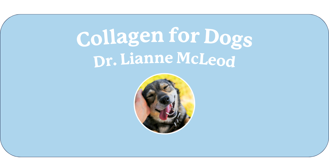 Is Collagen Good for Dogs?