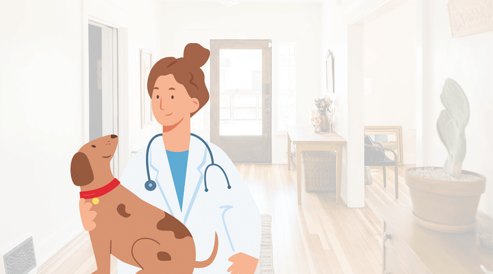 Palliative Dog Care: Lessons From Human Medicine