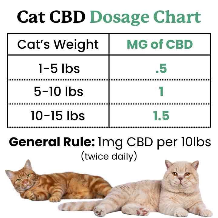 l carnitine dosage for cats Liquid Carnitine 3000