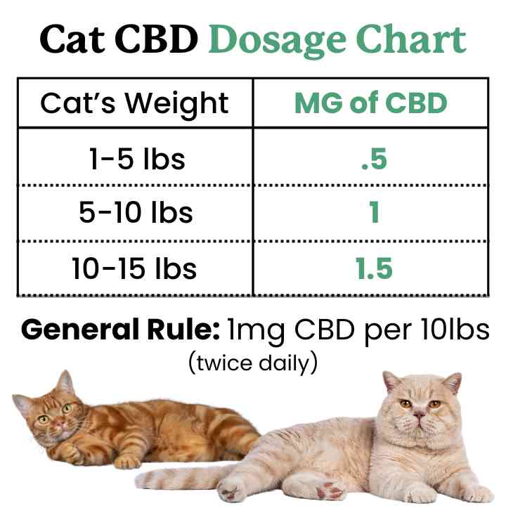 Cat CBD Dosage Chart