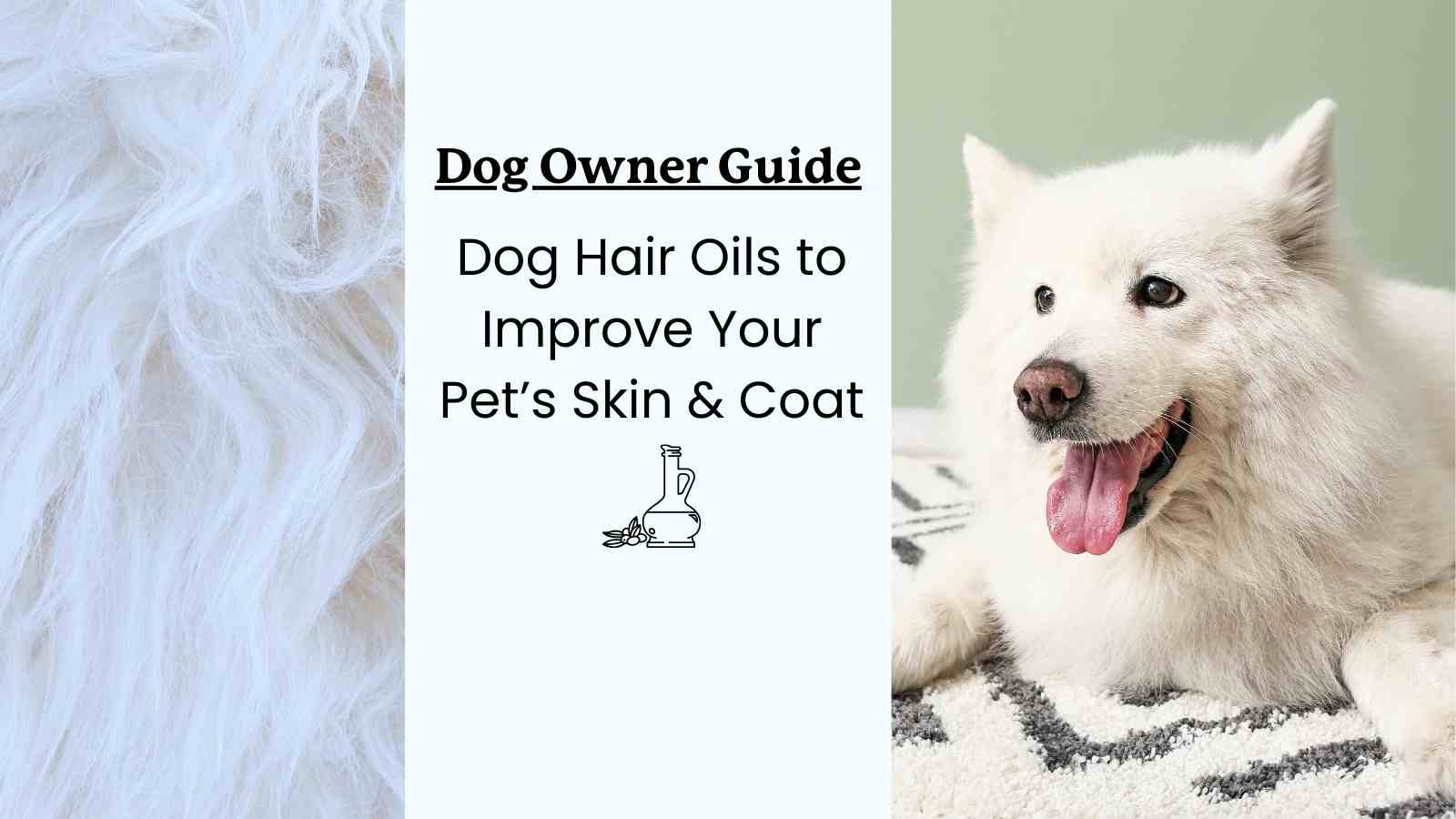 Dog Fur Oils to Help Skin & Coat Health - A Guide for Dog Owners