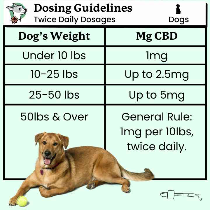 CBD Dosage Chart for Dogs Lolahemp