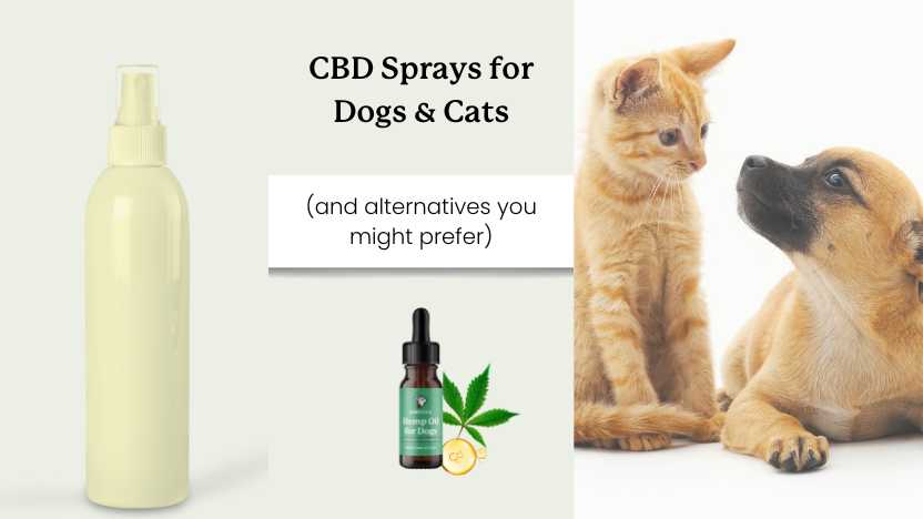 This image shows a spray bottle, a bottle of Lolahemp CBD oil for pets, and an image of a dog and cat looking at eachother with text that says "CBD sprays for Dogs & Cats"