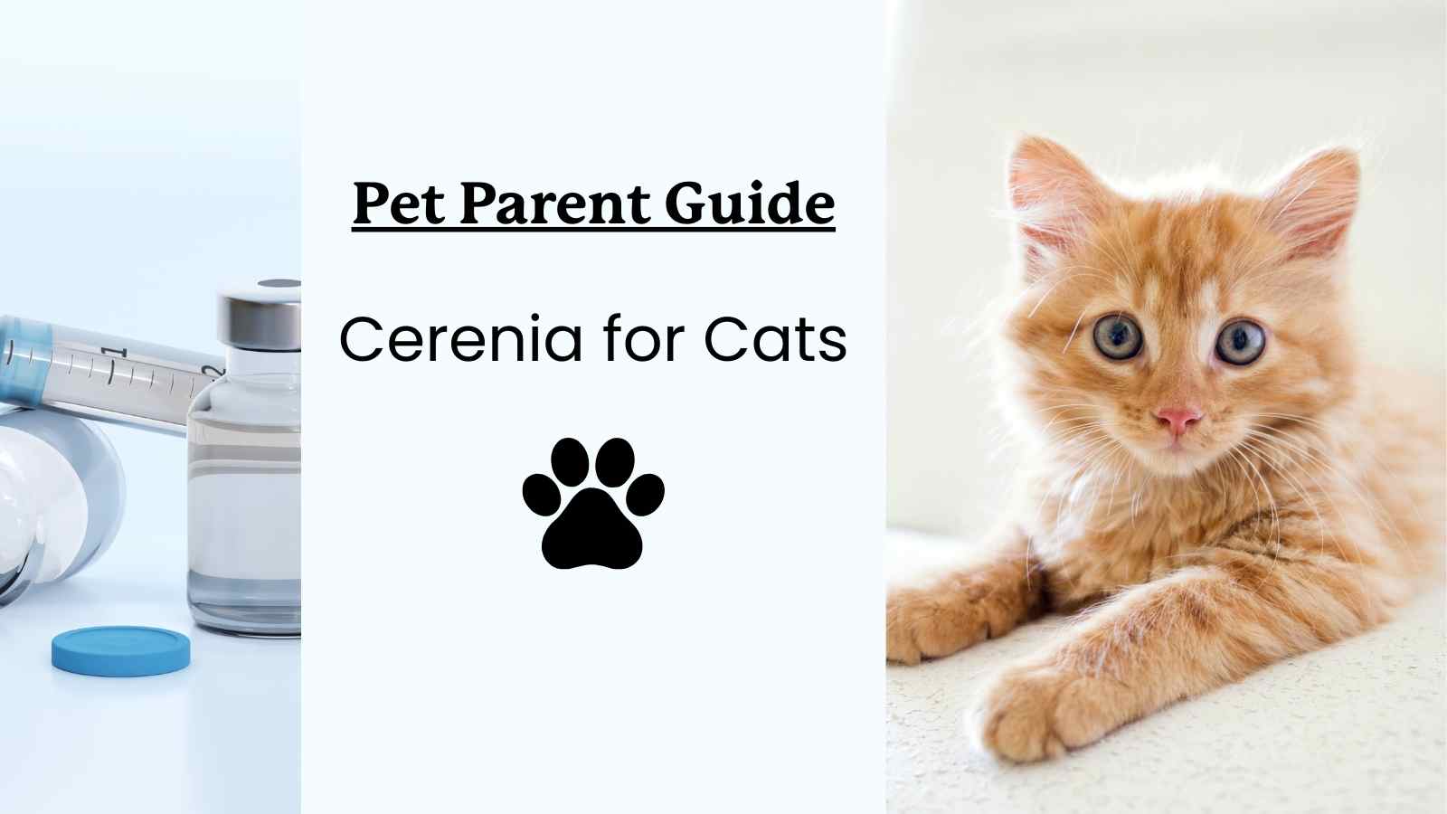 Cerenia for Cats Pet Parent Guide