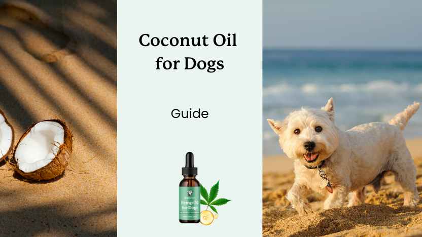 Should dogs eat coconut oil? Pet Parent Guide