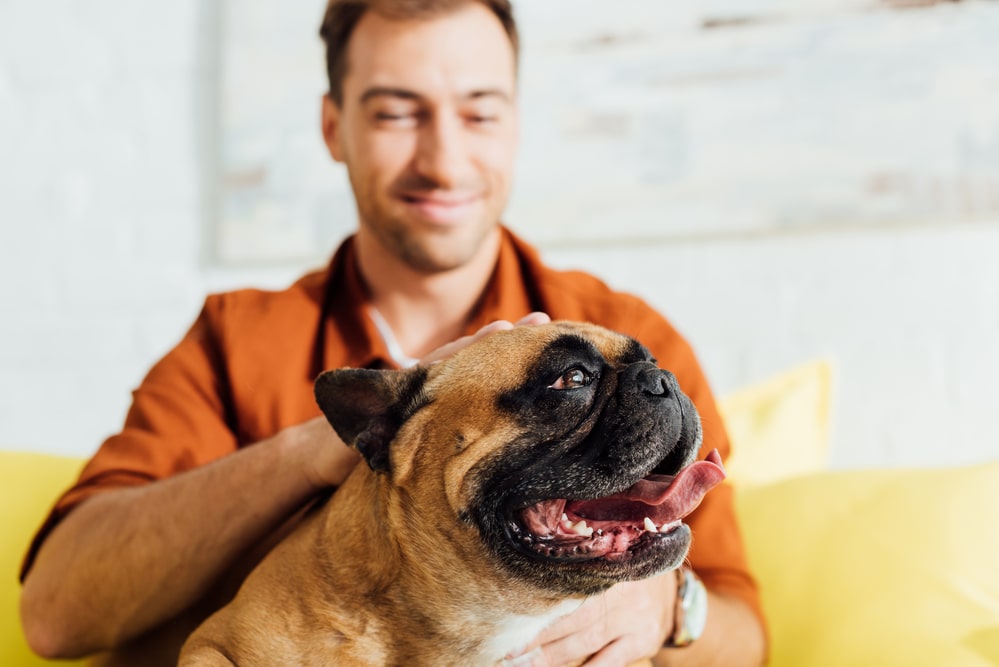 man in orange shirt petting his brown and black bulldog