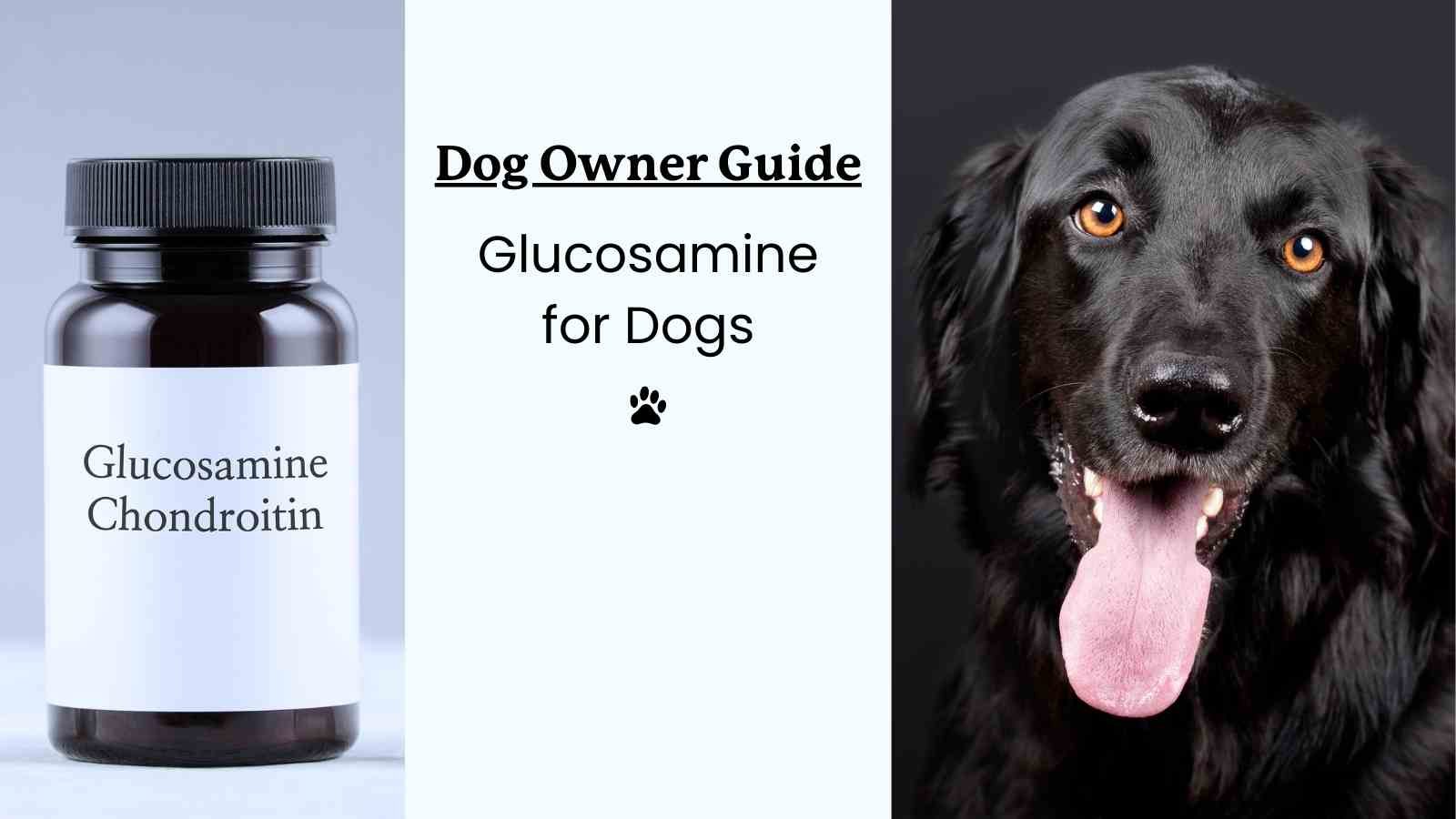 Glucosamine for Dogs