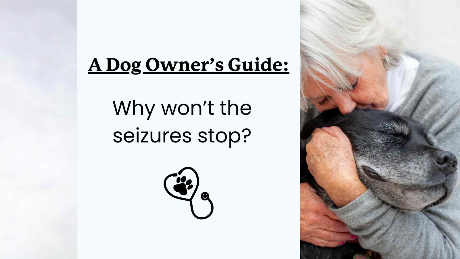 Dog seizures Won't Stop Guide