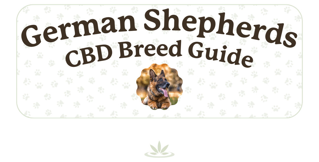 Is CBD Good for German Shepherds?