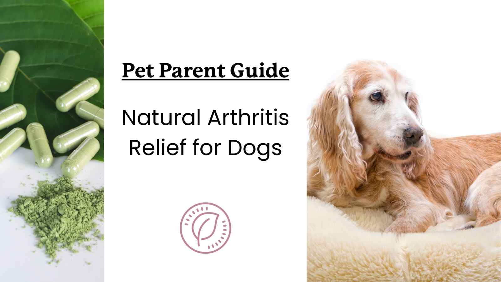 How can you relieve arthritis naturally in dogs?