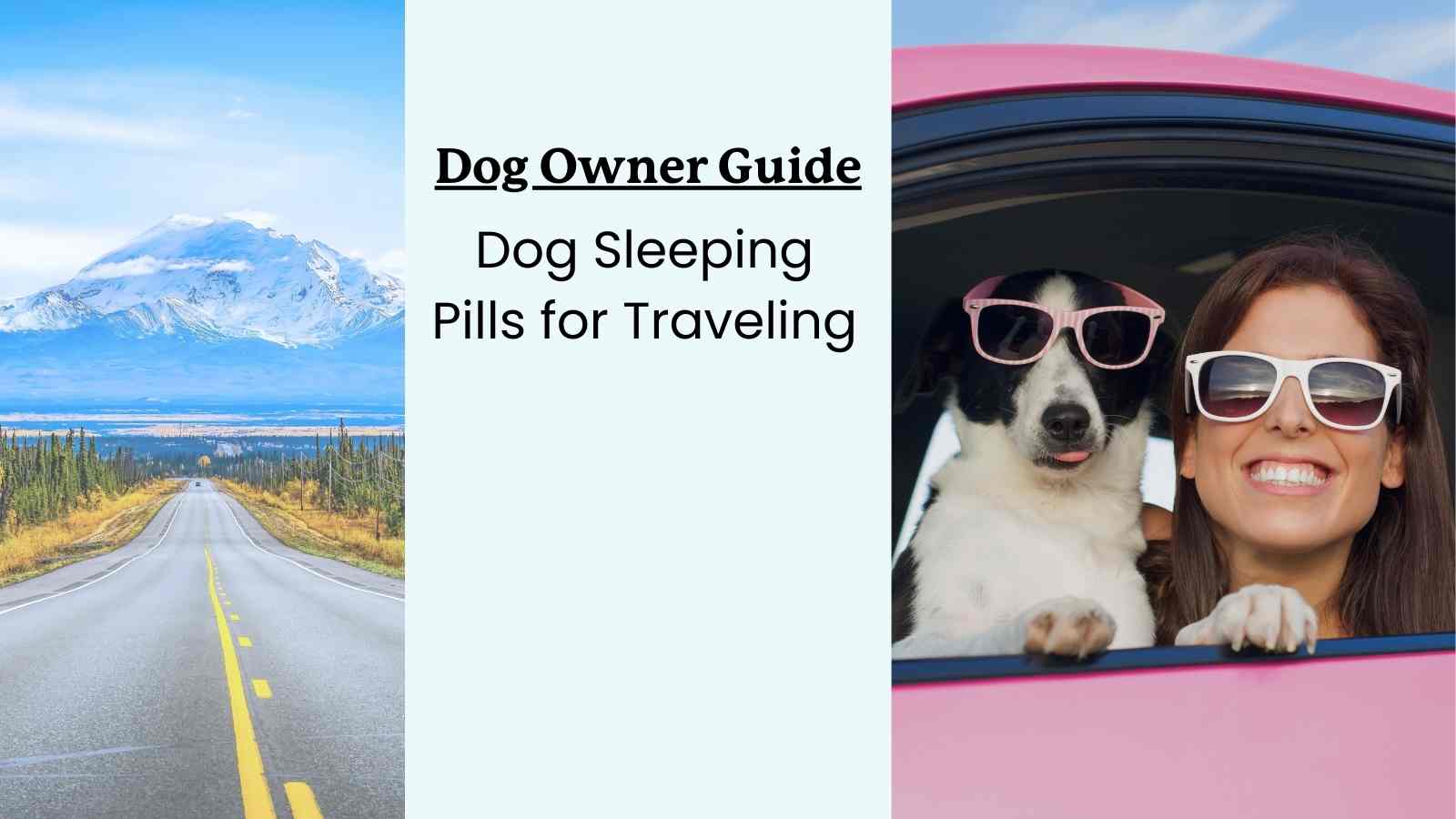 This is a guide to sleeping pills and chews for traveling dogs.