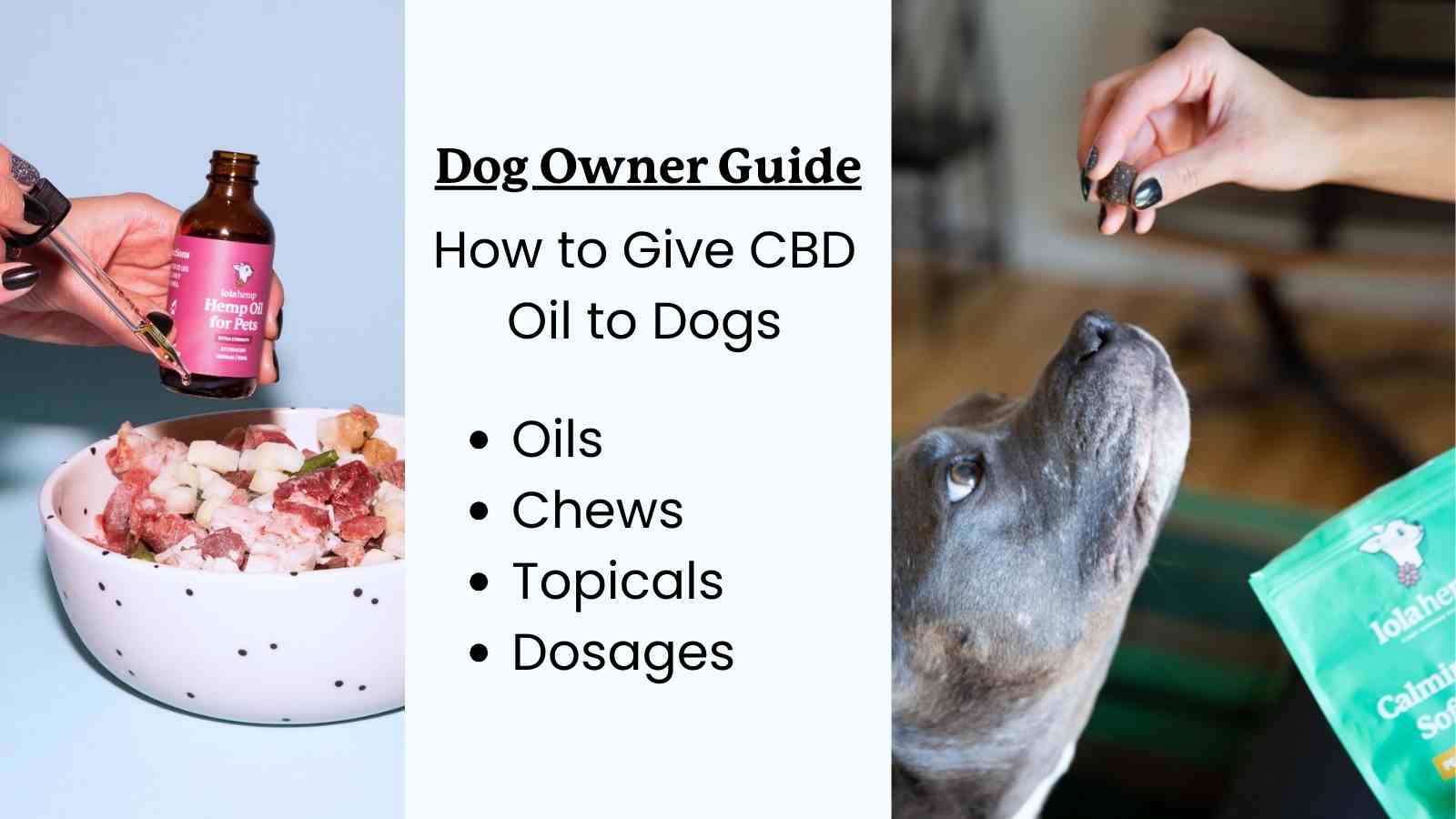 This is a guide on how to give CBD oil to Dogs