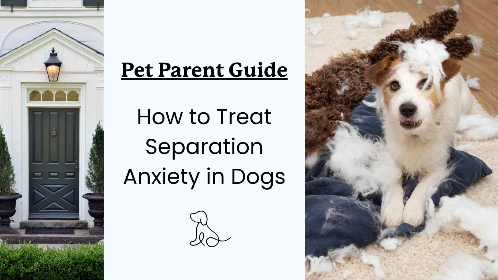 separation in dogs - pet owner treatment guide