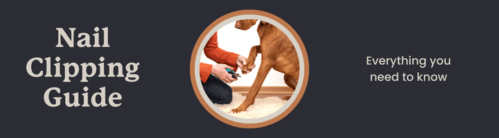 How to Trim Dog Nails: A How-To Guide – Central California SPCA, Fresno, CA
