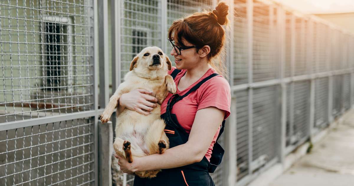 Woman with a recently rescued dog