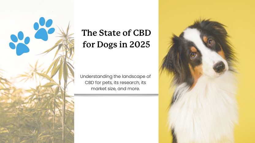 This article shows hemp plants and a dog with text that reads "The State of CBD for Dogs in 2025".