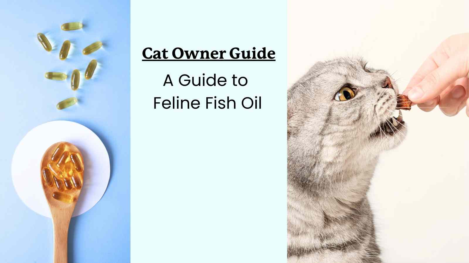 Feline Fish Oil Guide for Cat Owners