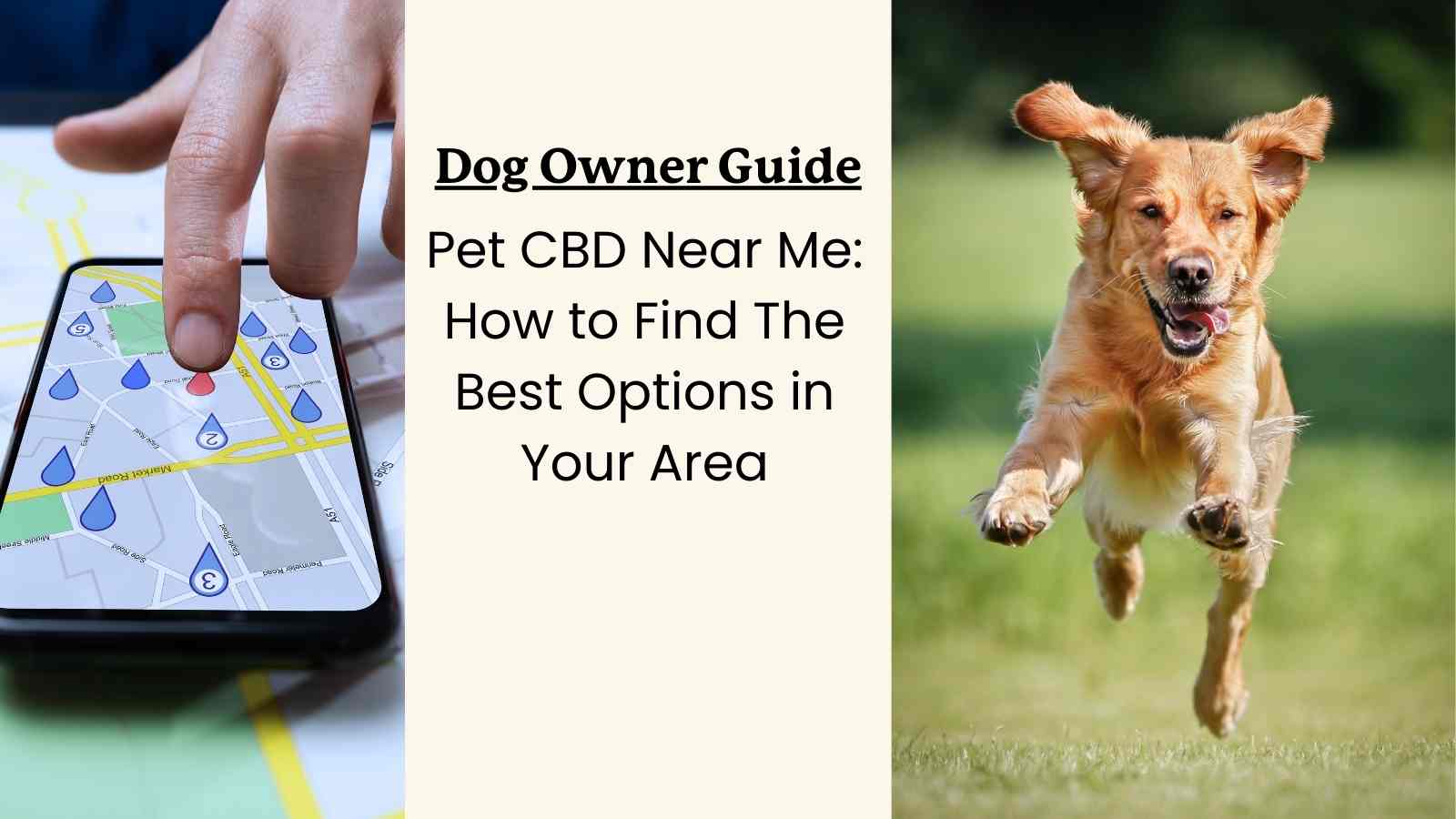 image of a phone and a dog with text that says "dog owner guide: pet CBD near me: how to find the best options in your area"