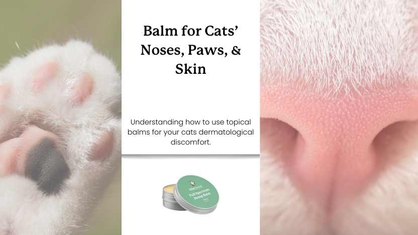 an image of a cat paw, cat nose, and tin of balm with text that reads "balm for cats' noses, paws, and skin".