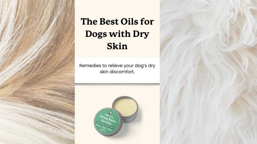 two images of dog fur and skin with text that says "the best oils for dogs with dry skin"