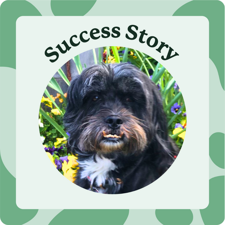 Tracey's success story