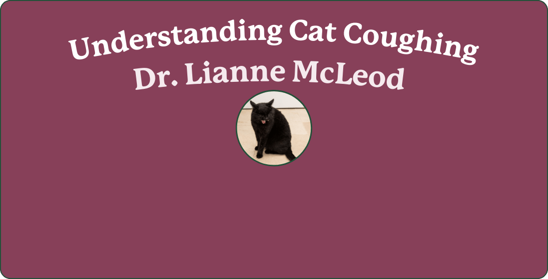 Understanding Cat Coughing