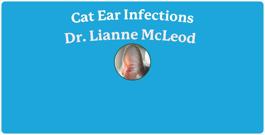 Cat Ear Infections