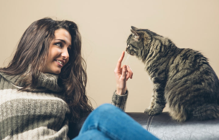 woman in gray striped sweater booping her gray cat on the nose