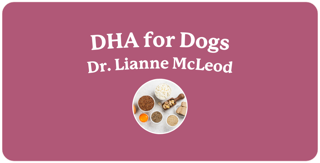 Docosahexaenoic Acid for Dogs