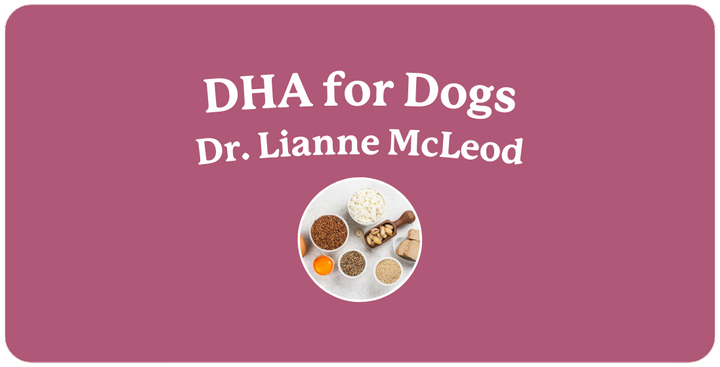 Docosahexaenoic Acid for Dogs