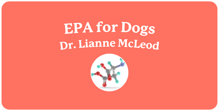 EPA Supplement for Dogs