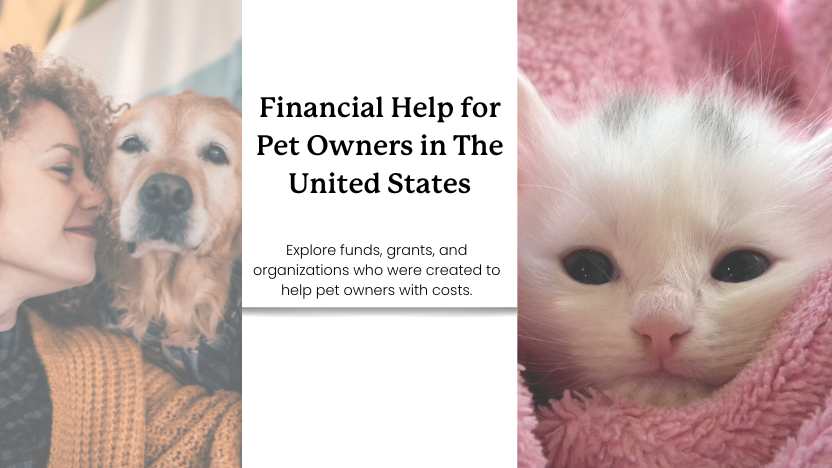 Help for Pet Owners in The USA | 2025 Resource Guide