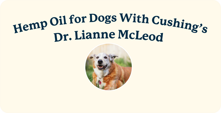 CBD Oil for Dogs With Cushing's