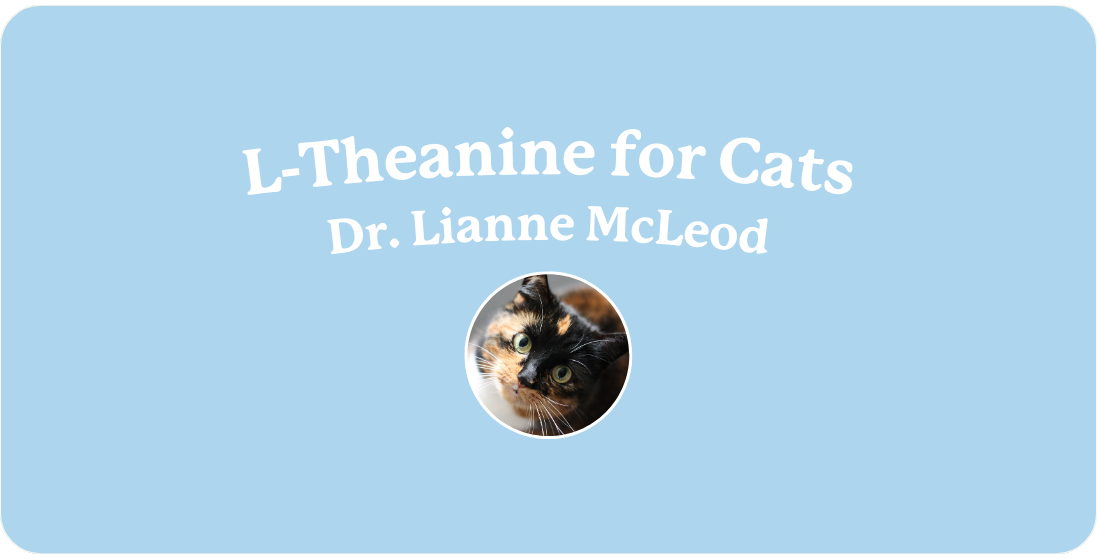 L-Theanine Dosage for Cats