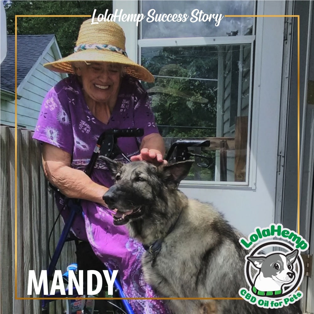 Woman in purple dress and sun hat sitting on their walker petting their german shepherd dog Mandy