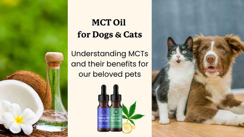 Image of coconut oil, and a dog and cat, with text that says "mct oil for dogs & cats"