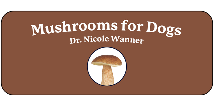 Mushrooms for Dogs