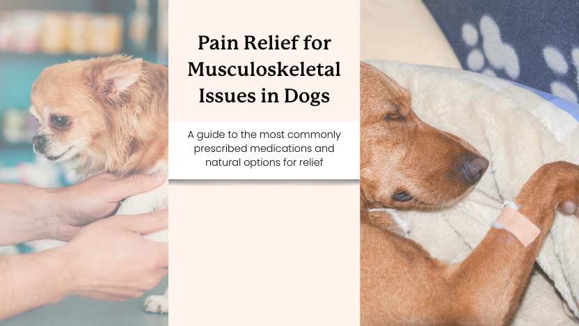 two dogs in pain and text that reads "pain relief for musculoskeletal issues in dogs"