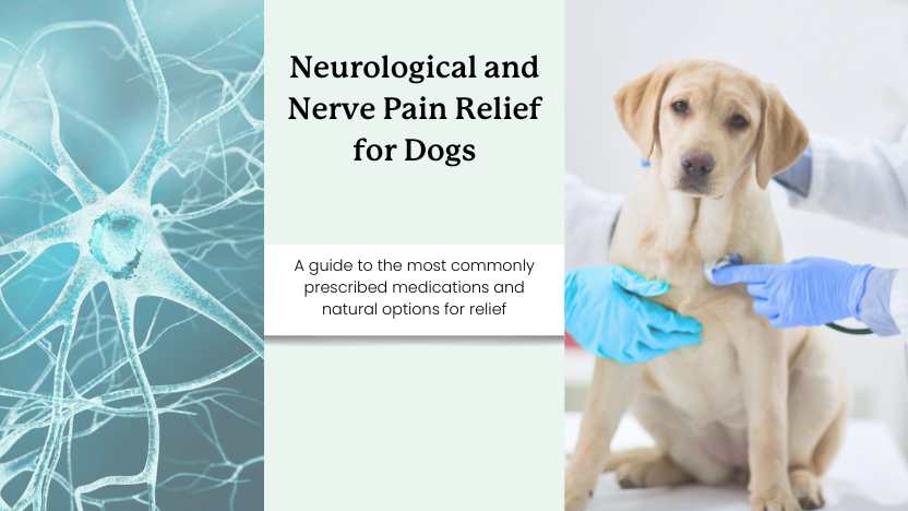 images of nerves and a dog image with text that reads "neurological and nerve pain relief for dogs".