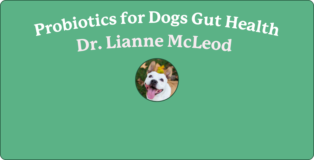 The Importance of Probiotics for Your Pet's Digestive Health