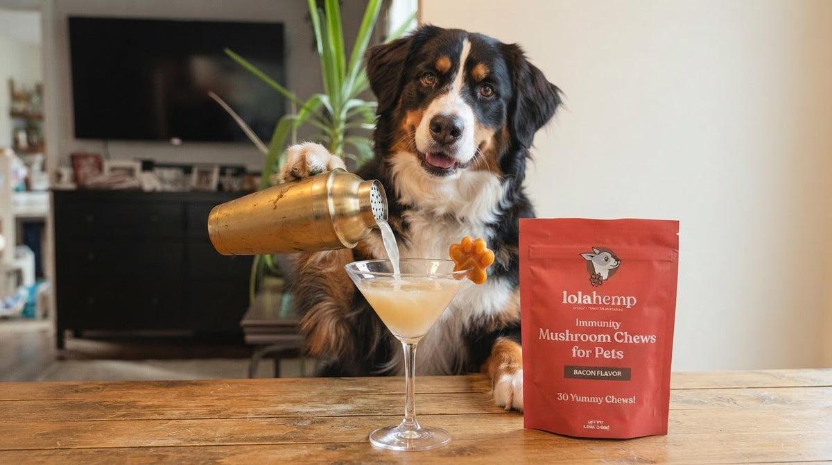 generated image of a dog pouring a puptini with a bag of lolahemp mushroom chews to his side.