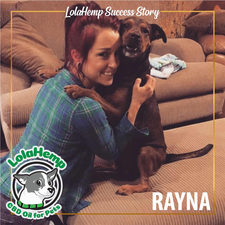 Rayna the brown dog hugging her owner