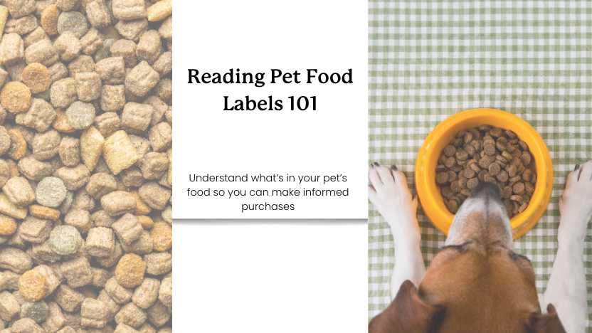 This image shows kibble and a dog eating kibble with text that reads "reading pet food labels 101: understand what's in your pet's food so you can make informed purchases"