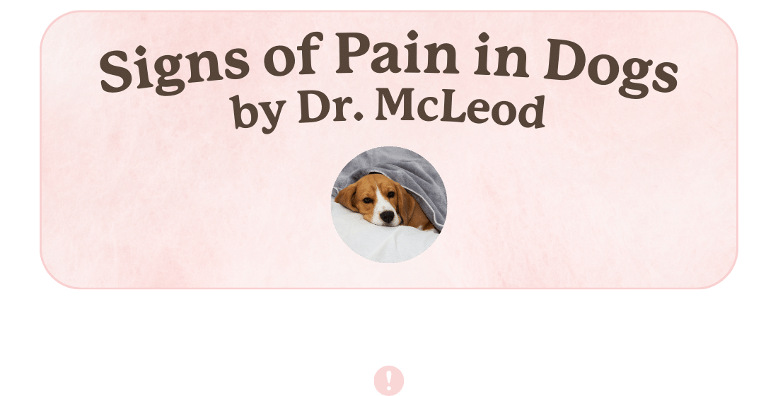 Signs of Pain in Dogs