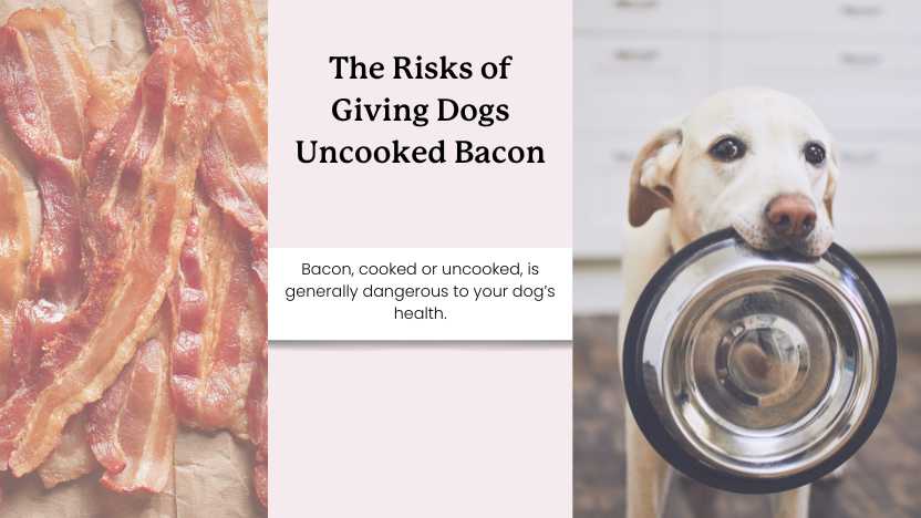 image of bacon, a dog with an empty food bowl and text that reads "the risks of giving dogs uncooked bacon"