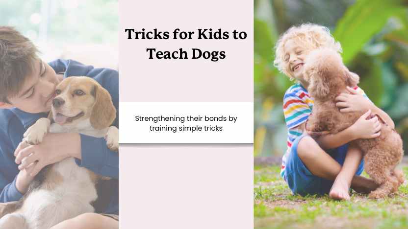 Easy Tricks for Your Child to Teach Your Dog