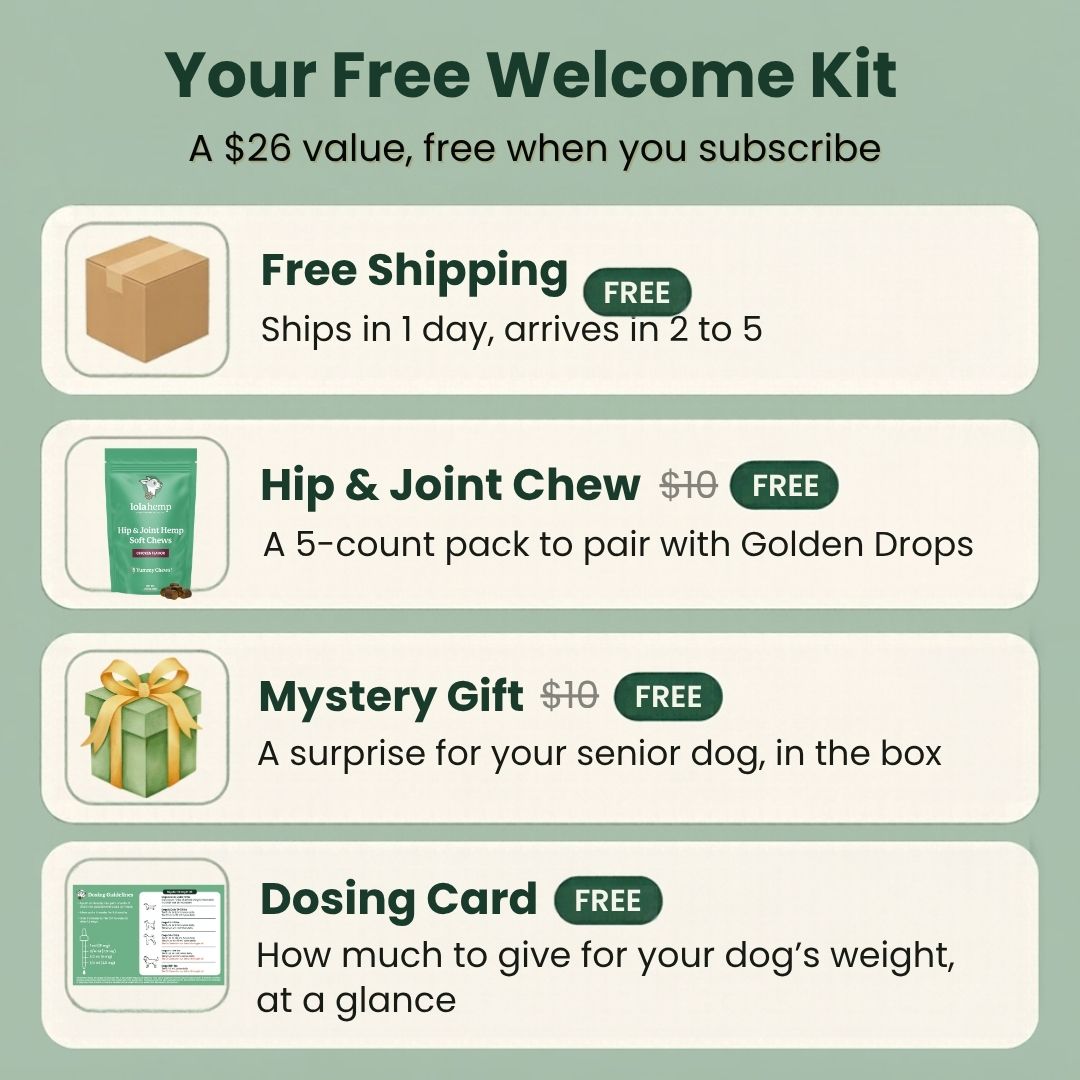 Lolahemp Golden Drops