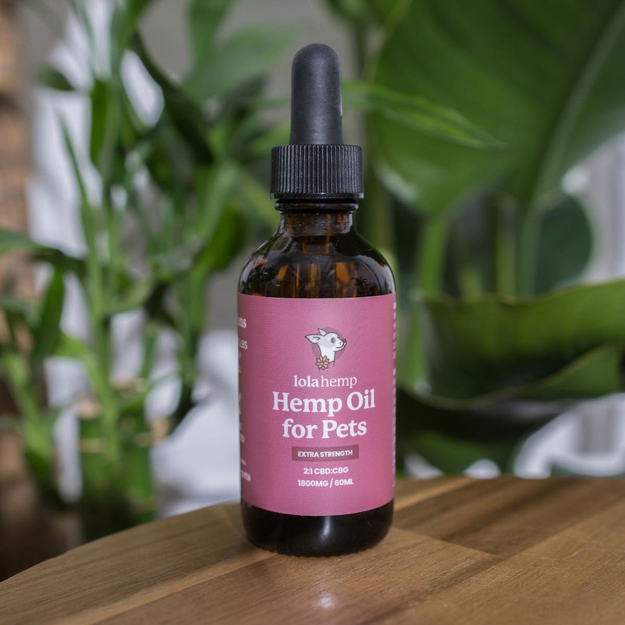 Front of brown lolahemp 1800mg extra strength hemp oil bottle with fuchsia label on wooden table with plants in the background