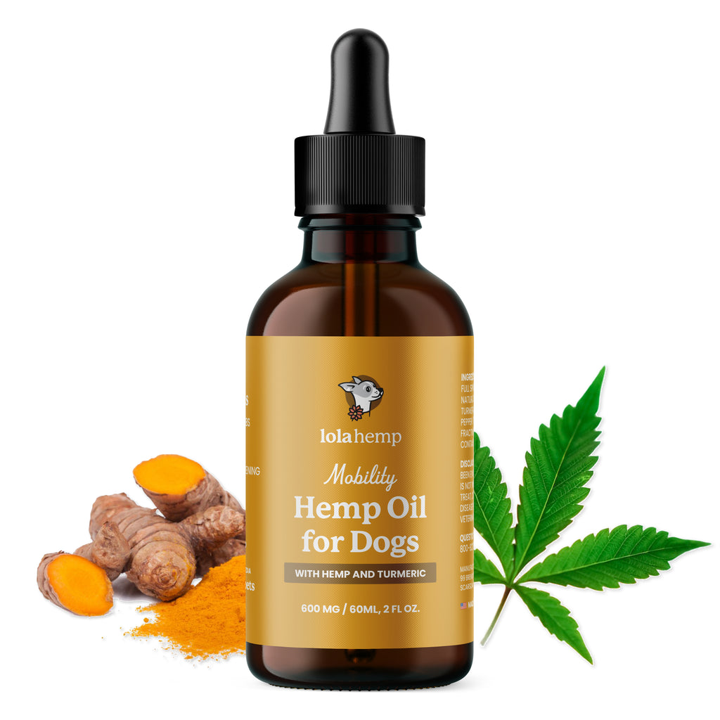 Mobility Drops | Hemp, Turmeric, Black Pepper & Coconut Oil – Lolahemp