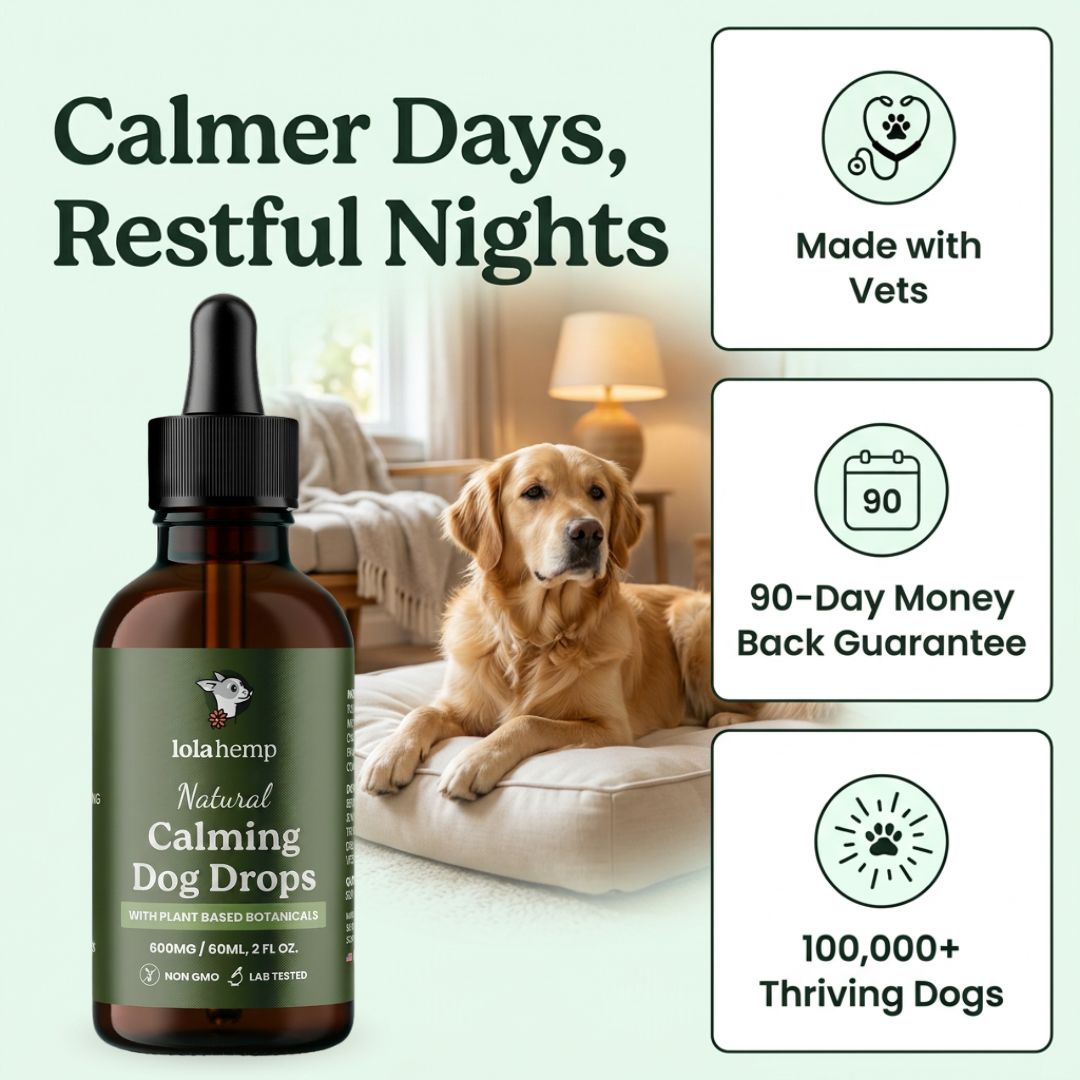calmer days and more restful nights - image of calming drops bottle and a dog resting on a bed